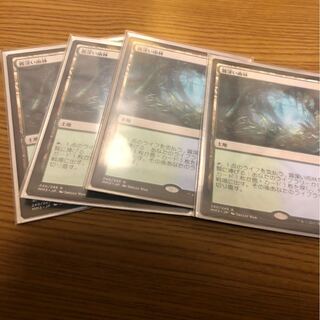 霧深い雨林　4枚