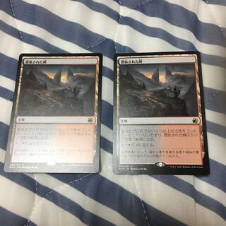 Haunted Ridge 2 rare 263/277