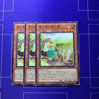 Seedlings and haze vernalization spirit 3 sheets