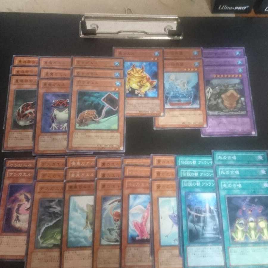 (E14) Collective sale D.3.S. Frog Normal JP156