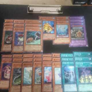 (E14) Collective sale D.3.S. Frog Normal JP156