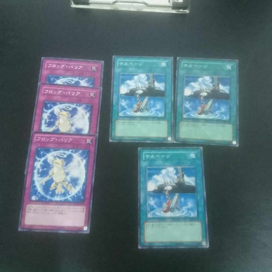 (E14) Collective sale D.3.S. Frog Normal JP156