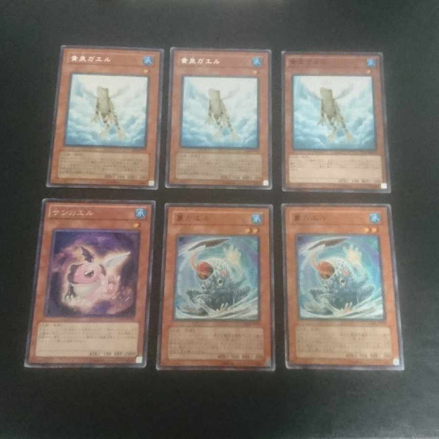 (E14) Collective sale D.3.S. Frog Normal JP156