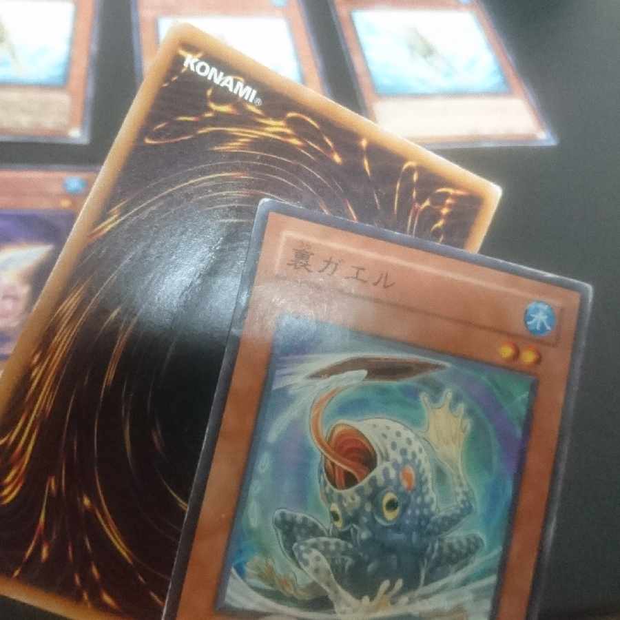 (E14) Collective sale D.3.S. Frog Normal JP156