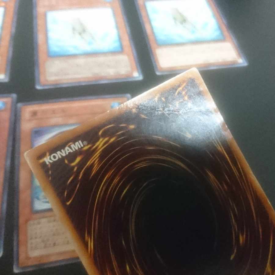 (E14) Collective sale D.3.S. Frog Normal JP156