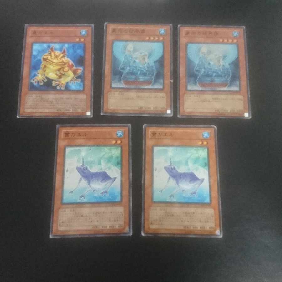 (E14) Collective sale D.3.S. Frog Normal JP156