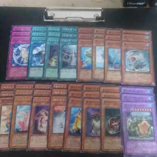 (E15) Collective sale D.3.S. Frog Normal JP156