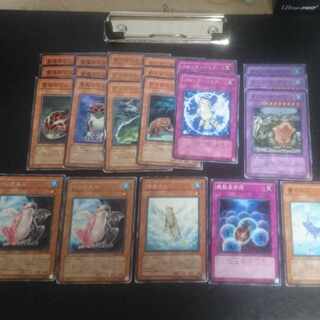 (E16) Collective sale D.3.S. Frog Normal JP156