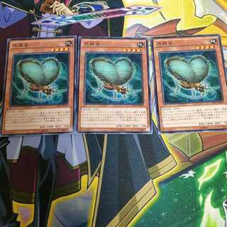 Resonance Insect Normal JP039