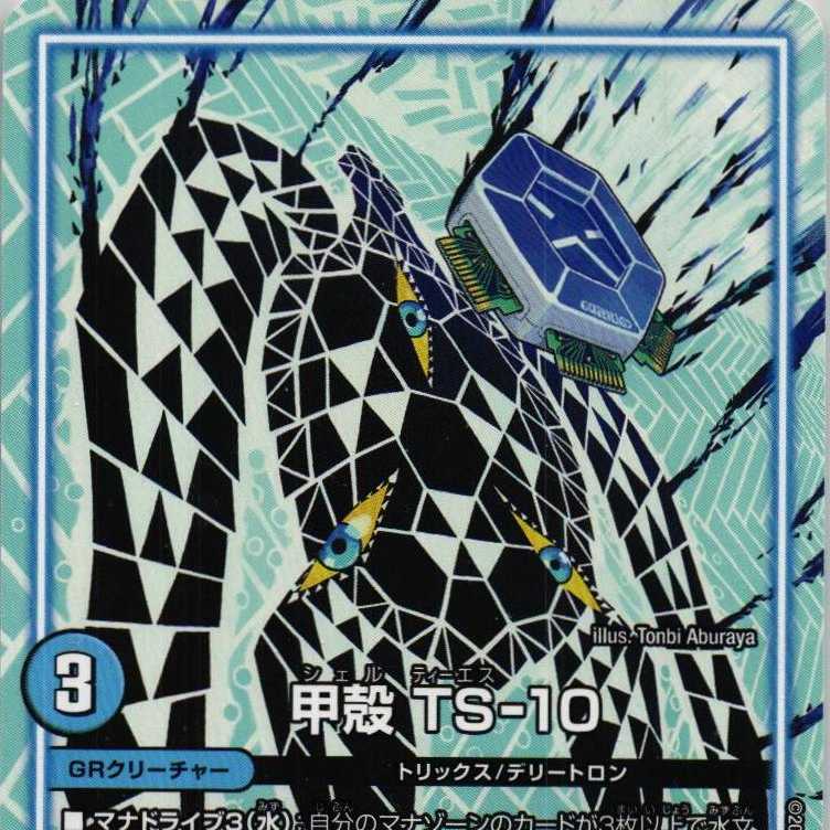 BD22 12/25 Carapace TS-10 2 copies