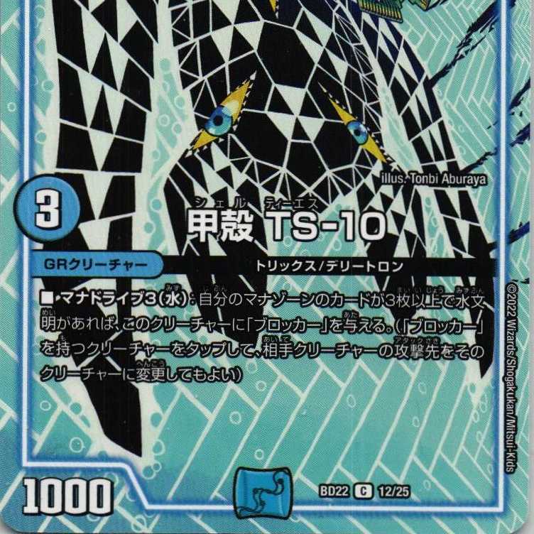 BD22 12/25 Carapace TS-10 2 copies