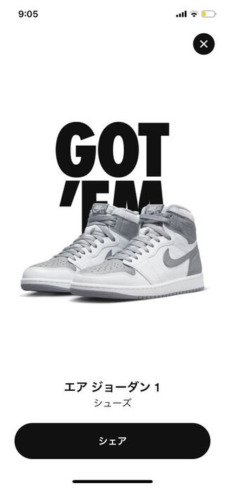 Nike Air Jordan 1 High OG "Stealth" 29cm