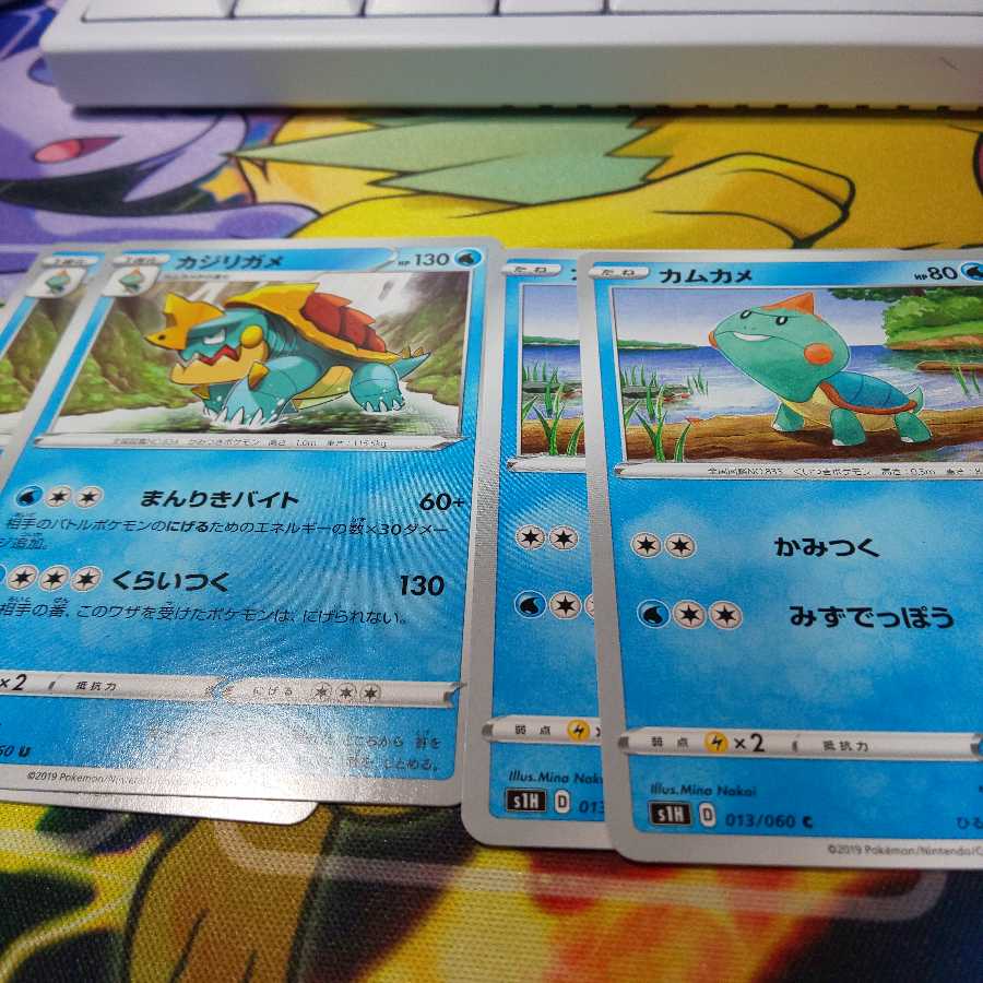 カムカメ カジリガメ セット