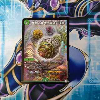 Life Life, Earth and Roaring Decision SR S12/S12