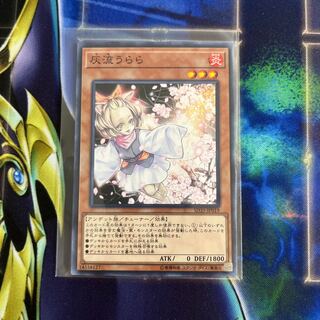 Ash Blossom & Joyous Spring Normal JP019