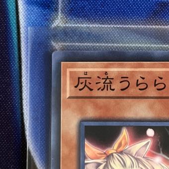 Ash Blossom & Joyous Spring Normal JP019