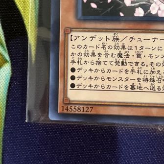 Ash Blossom & Joyous Spring Normal JP019