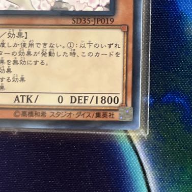 Ash Blossom & Joyous Spring Normal JP019