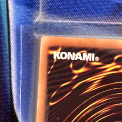 Ash Blossom & Joyous Spring Normal JP019