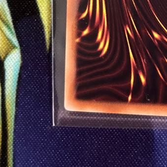 Ash Blossom & Joyous Spring Normal JP019