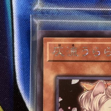 Ash Blossom & Joyous Spring Secret Rare JP016