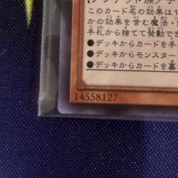 Ash Blossom & Joyous Spring Secret Rare JP016