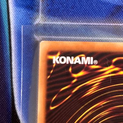 Ash Blossom & Joyous Spring Secret Rare JP016