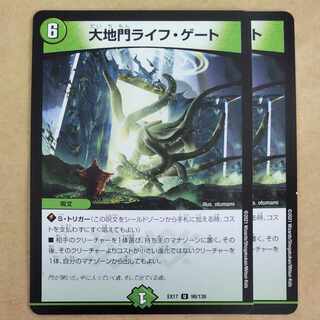 2 large gate life gates