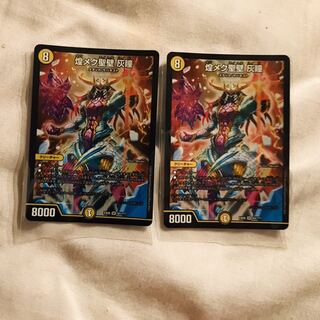 煌メク聖壁灰瞳