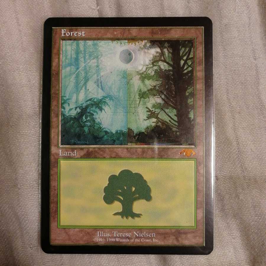 グルランド　森