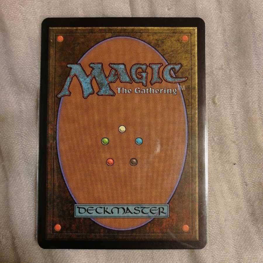 グルランド　森