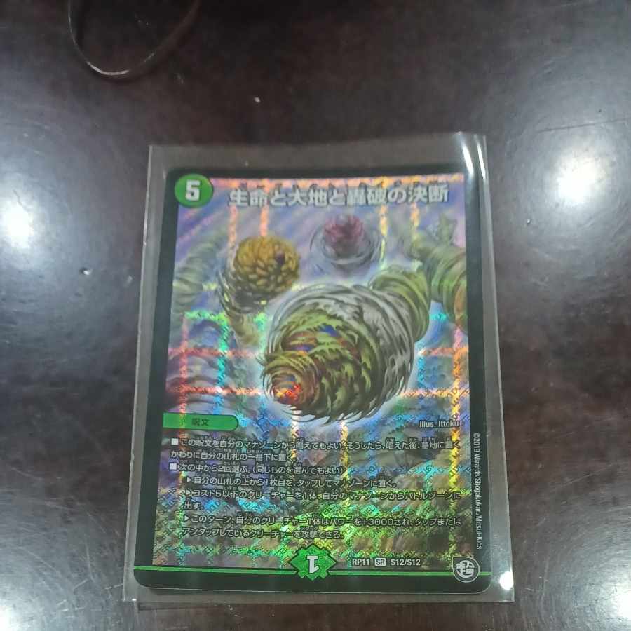 Life Life, Earth and Roaring Decision SR S12/S12