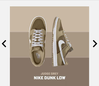 Nike Dunk Low Retro "Judge Grey" ナイキ ダンク ロー レトロ "ジャッジ グレー"24com 24cm