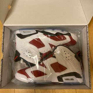 Nike Air Jordan 6 "Carmine" (2021) ナイキ エアジョーダン6 "カーマイン" (2021 27.5cm
