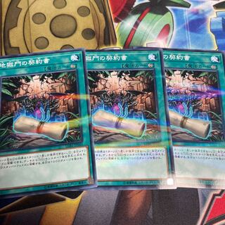 Dark Contract with the Gate Parallel Normal JP040