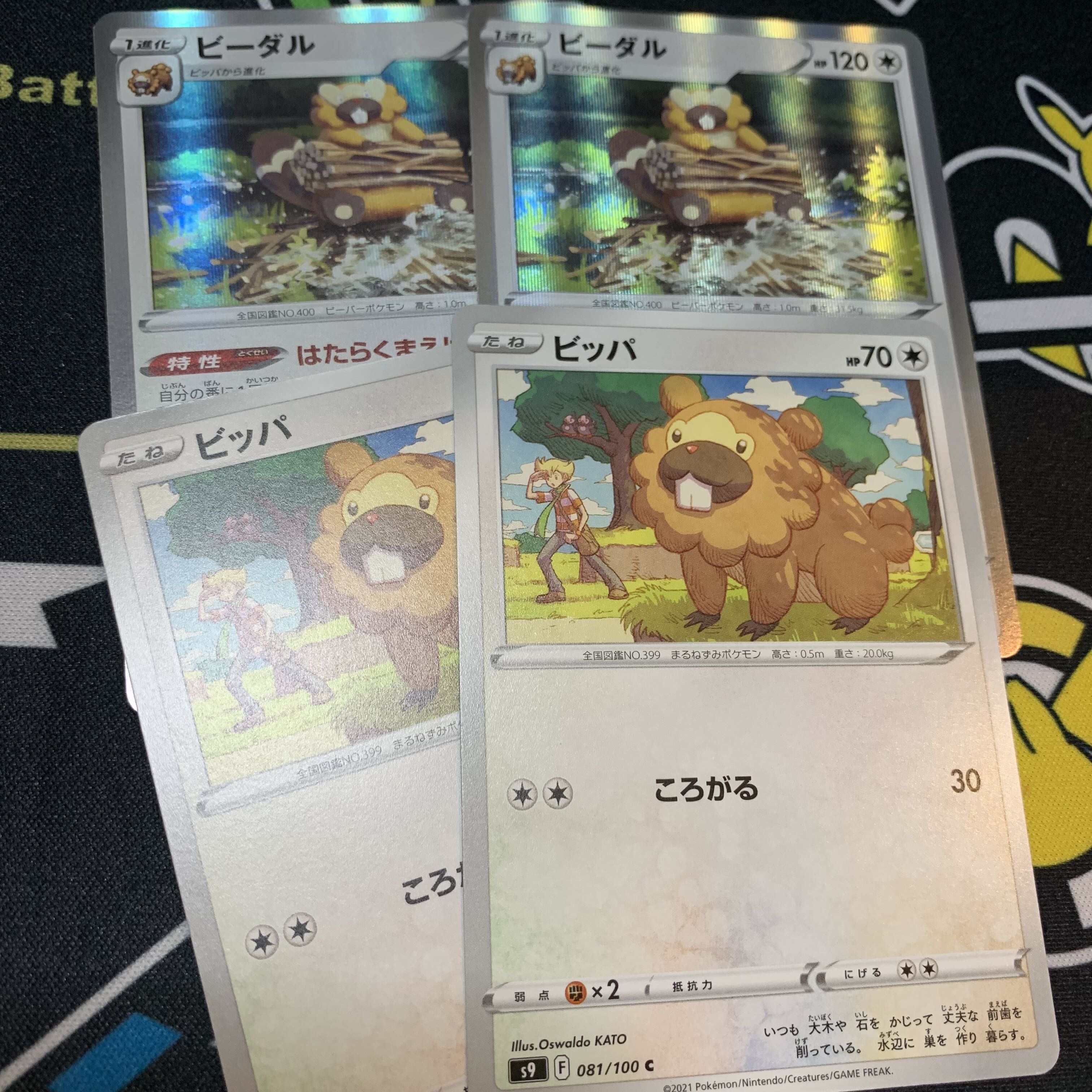 Summer Festival] Treasure Blog Limited Single Frima:37 Bibarel Set