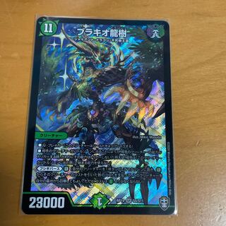 Ryuki Brachio SR S5/S11