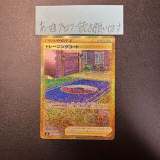 Training Court UR 127/100