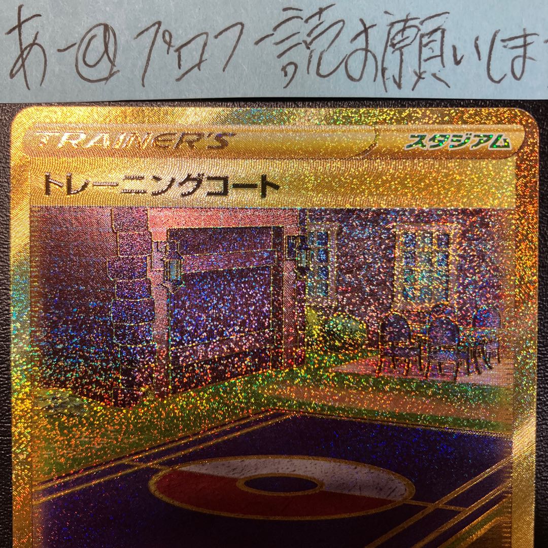 Training Court UR 127/100