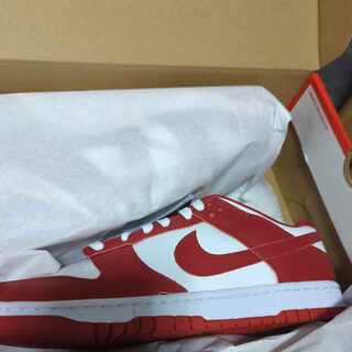 ナイキ　ダンクローレトロ　ジムレッド 28cm
