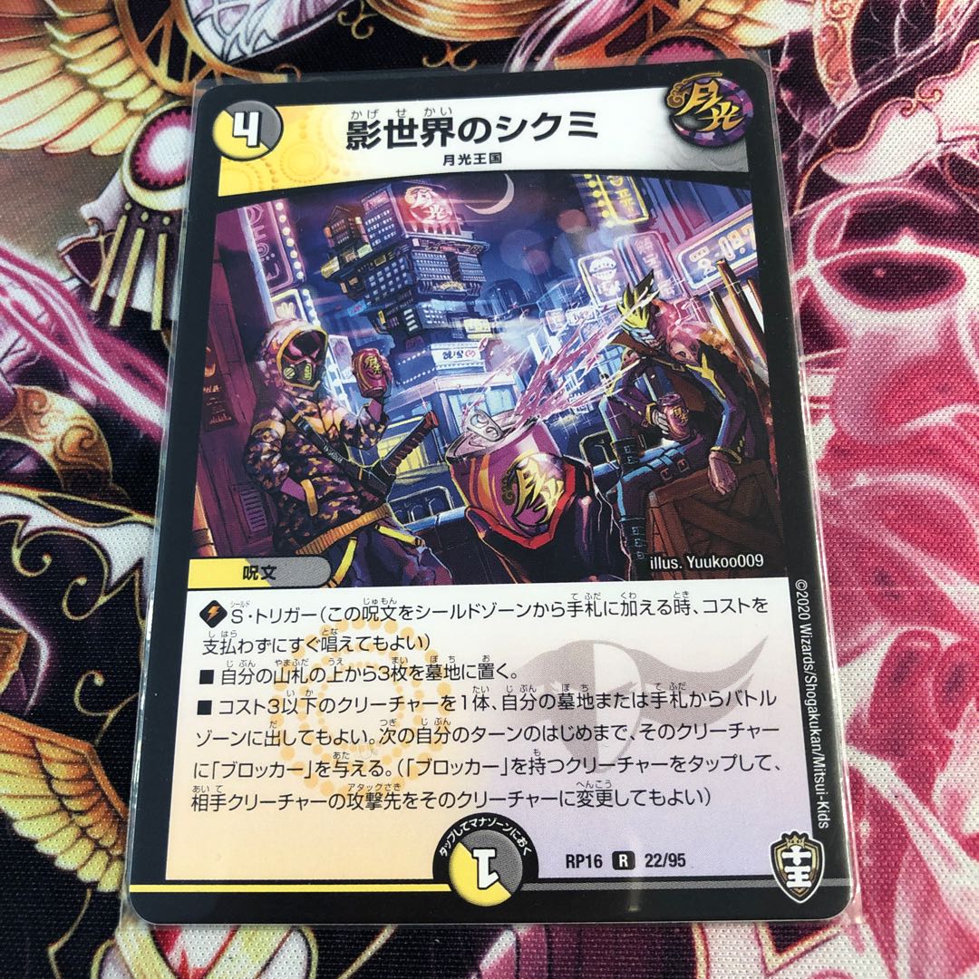 影世界のシクミ R 22/95