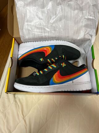 28.5cm nike DUNK LOW SB ポラロイド 28.5cm