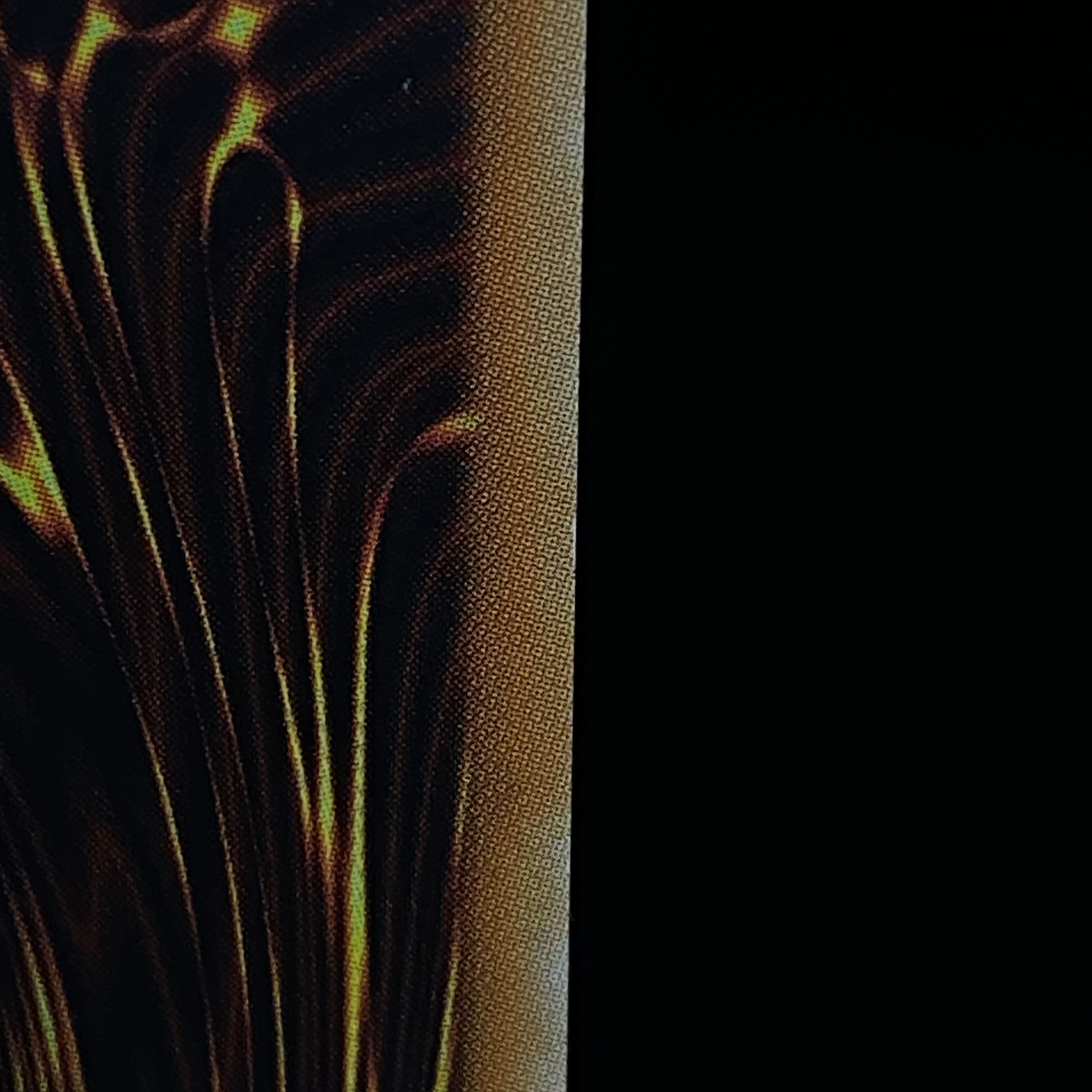 Blue-Eyes Alternative White Dragon 20th Secret Rare 20CP-JPF01