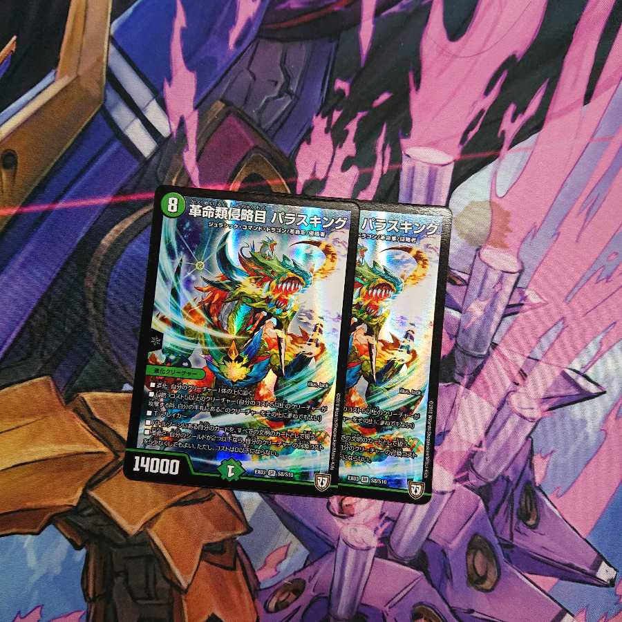 パラスキング 2枚