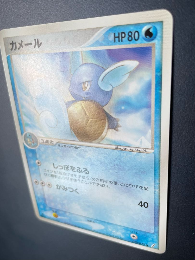 ゼニガメ カメール セットの通販 カメサブロー（58868875） | magi