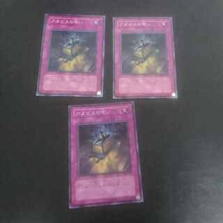 D73 アヌビスの呪い ノーマル JP028