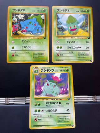 【旧裏】フシギダネマーク フシギダネ フシギソウ セット