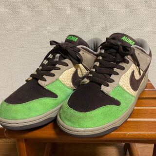 Dunk Low kicks Hawaii 28cm