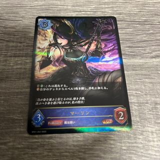 Merlin Shadfly Evolve Set