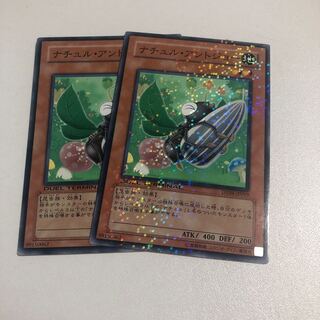 ナチュル・アントジョー ノーマル JP019  1枚